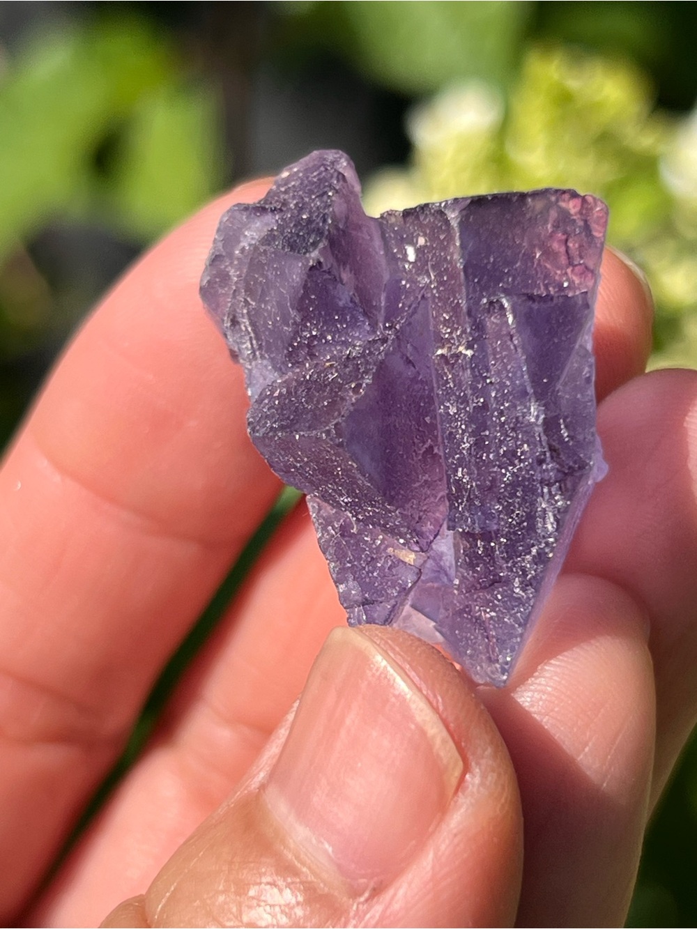 Fluorite (5) specimen with stand | crystal